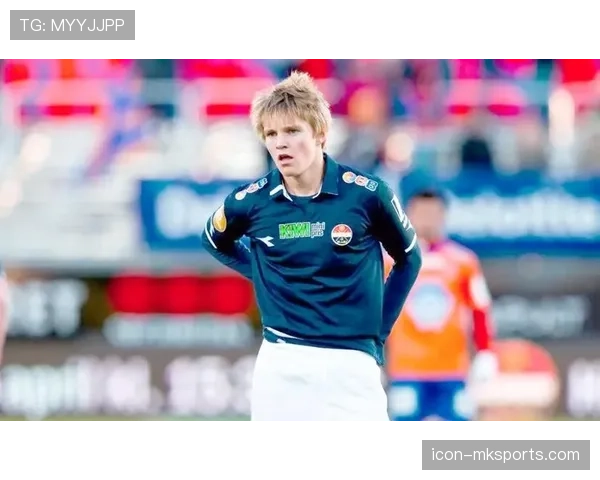 厄德高：天才兑现了吗？成长轨迹与核心贡献解析