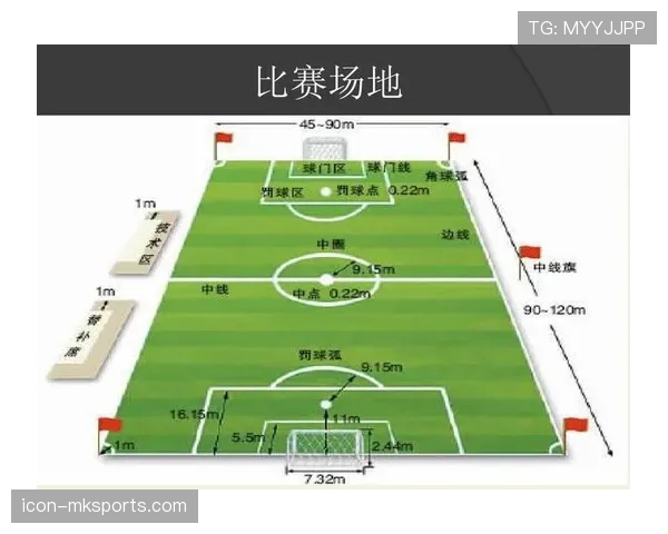 场地尺寸规则划定标准细节，裁判如何精准判定有效尺寸？